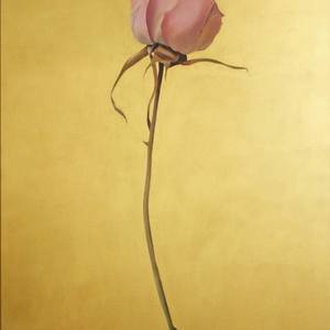 Collection Meditative Minimalism