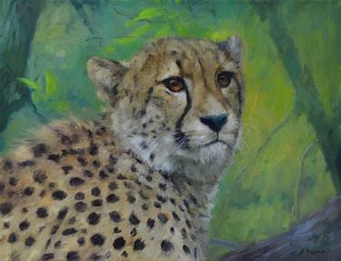 Print of Realism Animal Paintings by Anna Pszonka
