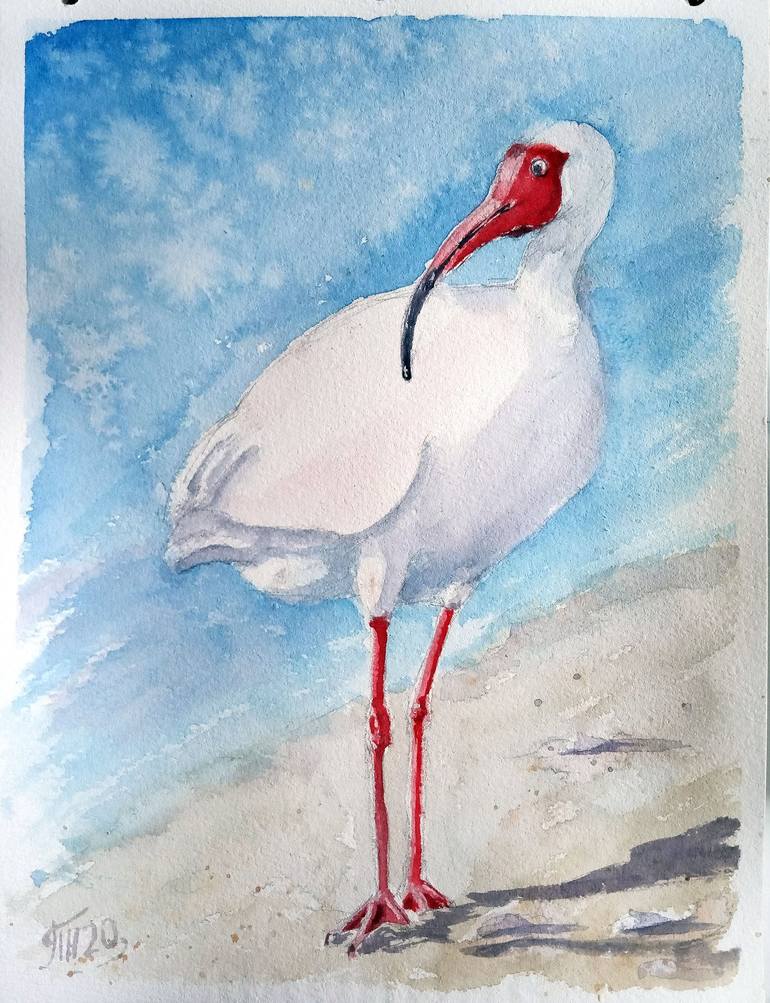 Ibis painting. Ибис акварелью. Ибис картина. Картины для Ибис пейнт. Кисть акварель Ибис.