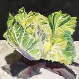 Cabbage Unfurling by Stef Tarasov