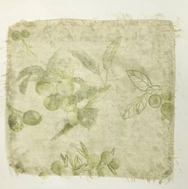 Original Nature Drawings by Sarah Goldbart