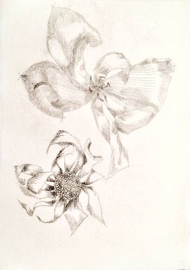 Flower Studies - Limited Edition 1 of 8 thumb