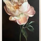 Old Holland flower 6 by Rosi Roys