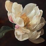 Old Holland flower 8 by Rosi Roys
