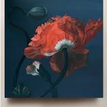 Old Holland flower 10 by Rosi Roys