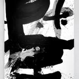 Collection Black expression 