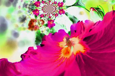 Original Fine Art Floral Photography by Ingrid Edith Zobel