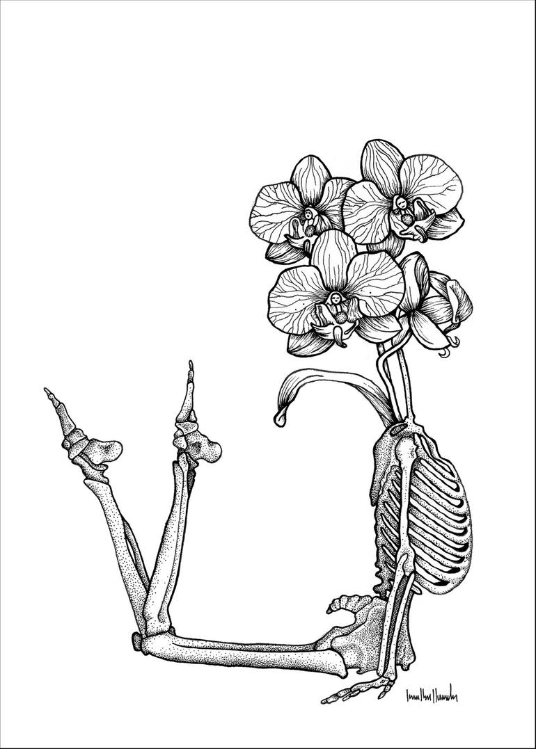 In Bloom I Drawing by Laura Clay Robson | Saatchi Art New Zealand