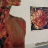 group exhibition,2002 by Adam Hongshan Wei