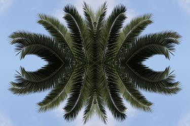 Palm trees over your head - Limited Edition of 10 thumb