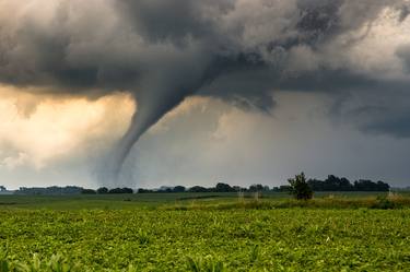 Tornado in field thumb