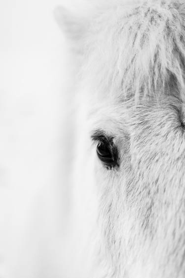 Spirit, Iceland (size 1) - Ltd Ed. of 50 thumb