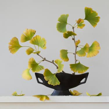 GINKGO 2.18 pm - Limited Edition 1 of 5 thumb