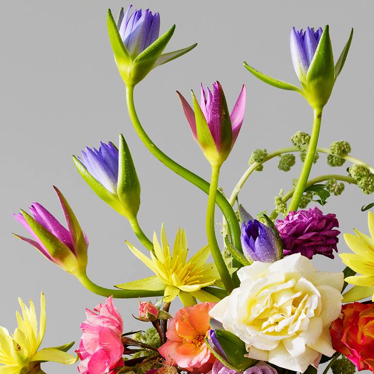 Original Conceptual Floral Photography by Emma Bass