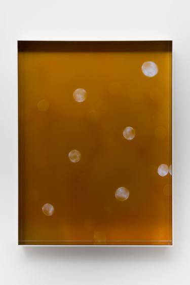Yellow Orbeez thumb