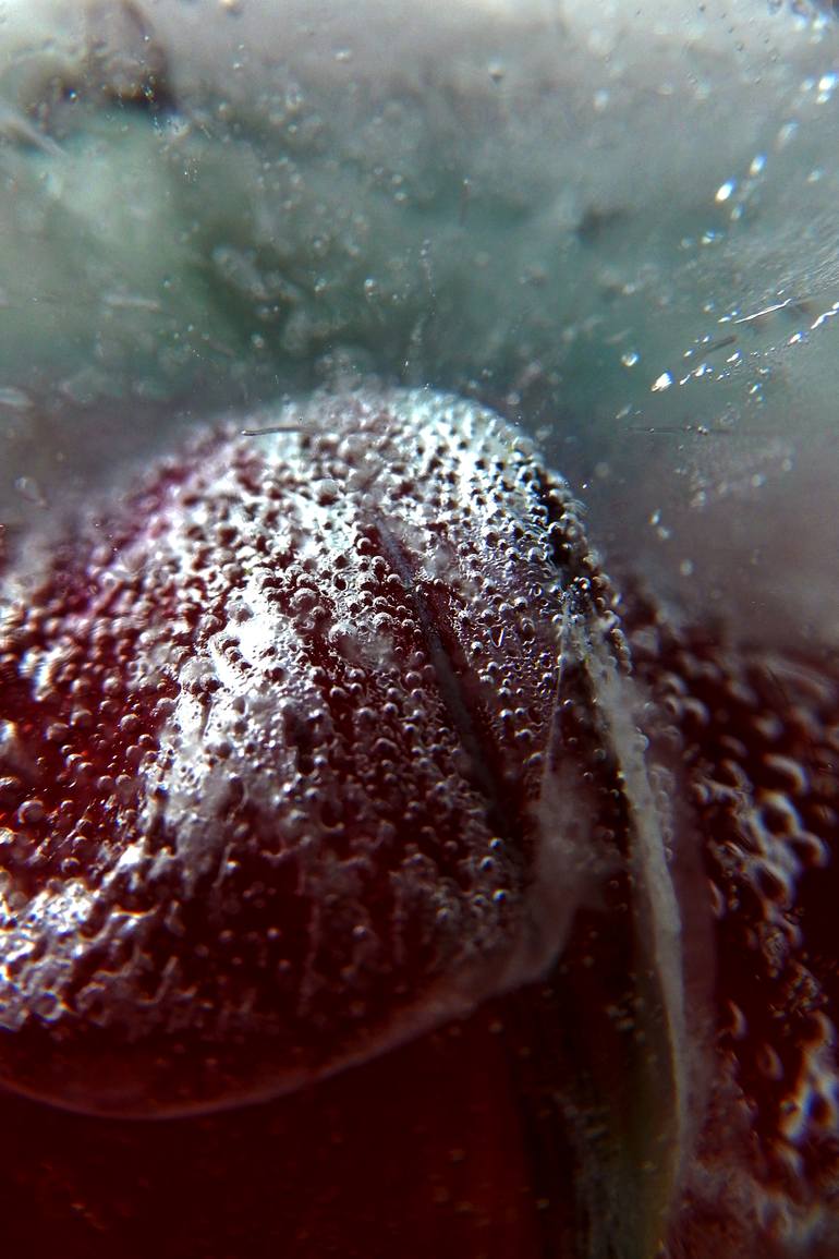 Sunflower ( Frozen Flowers) Photography by Ems Willems Saatchi Art