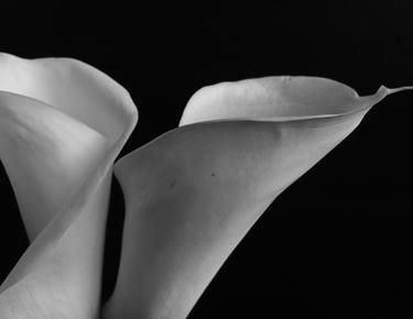 Original Black & White Abstract Photography by Dara Nezhuha
