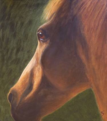 Original Figurative Horse Paintings by Shawn Wilson
