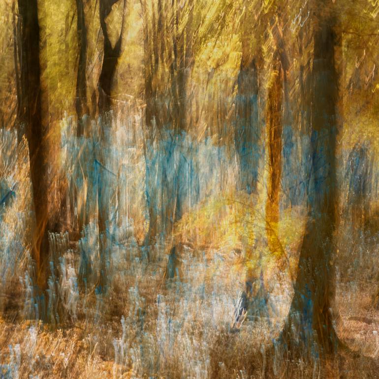 Original Abstract Expressionism Landscape Photography by Charlotte Bellamy