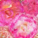 Flower Mash Up #3 by Nicola Katsikis