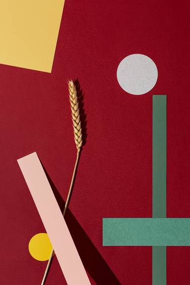 Original Conceptual Abstract Photography by Oleksandr Serhiienko