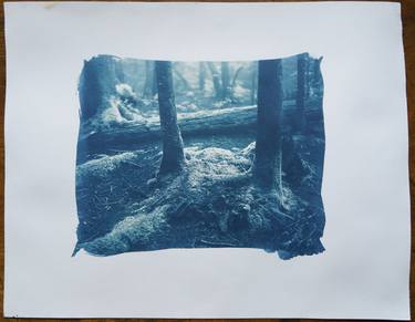 "Heart of the Forest"-Limited Edition Cyanotype- 1 of 50 thumb