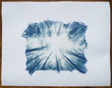 "Woodland"- Limited Edition Cyanotype- 1 of 50 thumb