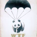 WTF! (On an Urbox.) by Juan Sly