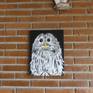 Oscar Owl in the studio