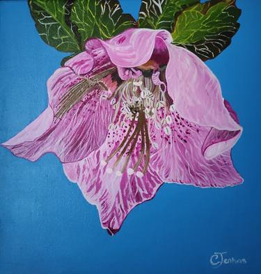 Original Realism Floral Painting by Caroline Jenkins
