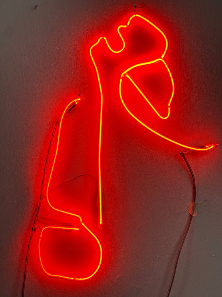 Original Conceptual Light Installation by Luisa Alvarez