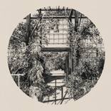 Hidcote by Fujiko Rose