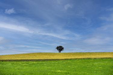 Original Landscape Photography by Erdal Turkoglu