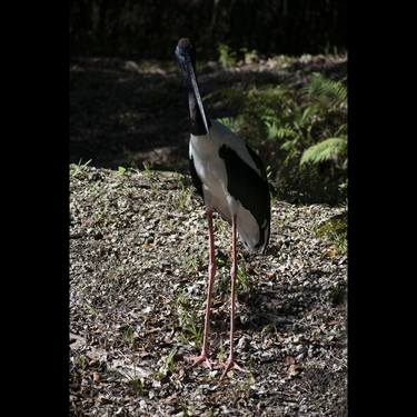 Print of Fine Art Nature Photography by Robert Reilly