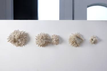 Teasel, Wall Pieces - sequence thumb