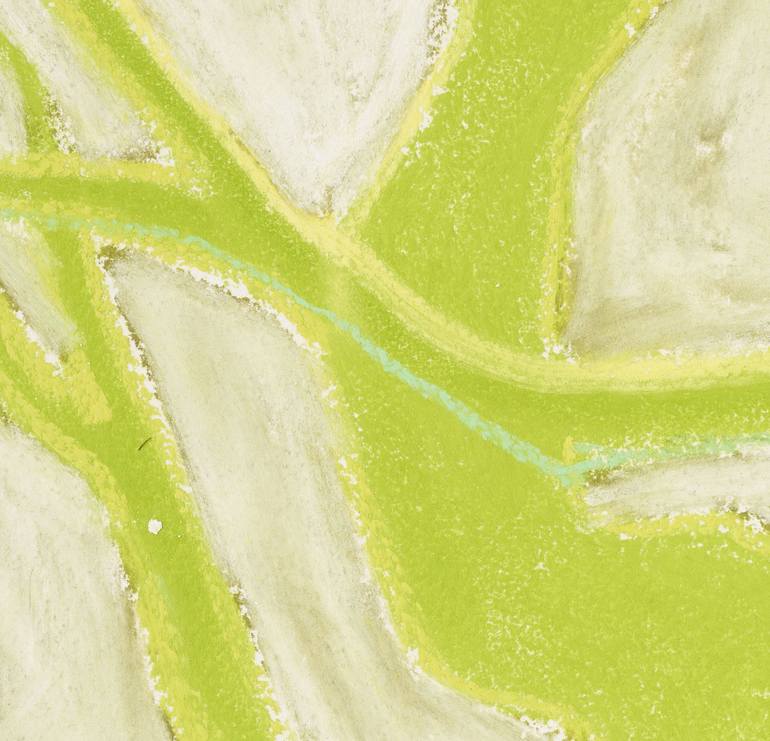 Original Abstract Nature Drawing by Roberta Young