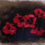 Tulips by Davit  Davtyan