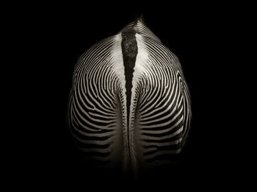 Original Fine Art Animal Photography by Pepe Canabate