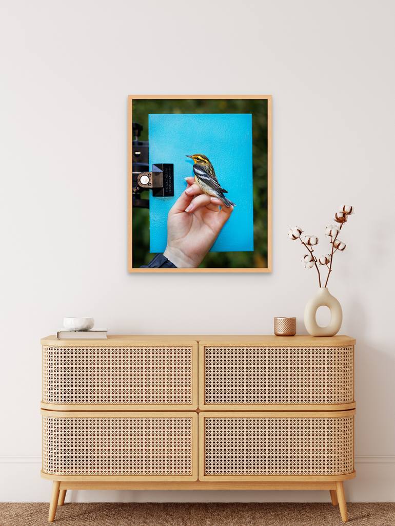 Original Contemporary Animal Photography by Finn O'Hara