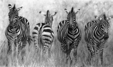 Print of Realism Animal Drawings by Prabath Zoysa