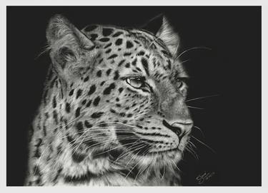 leopard - hyper realistic pencil (120hrs) thumb