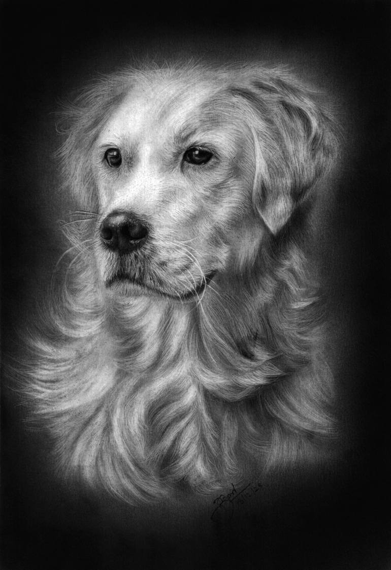Print of Fine Art Dogs Drawing by Prabath Zoysa