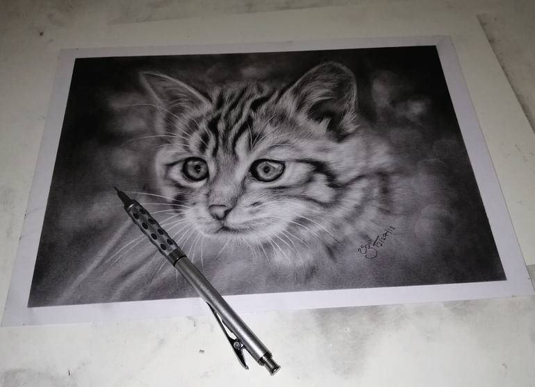 Original Figurative Cats Drawing by Prabath Zoysa