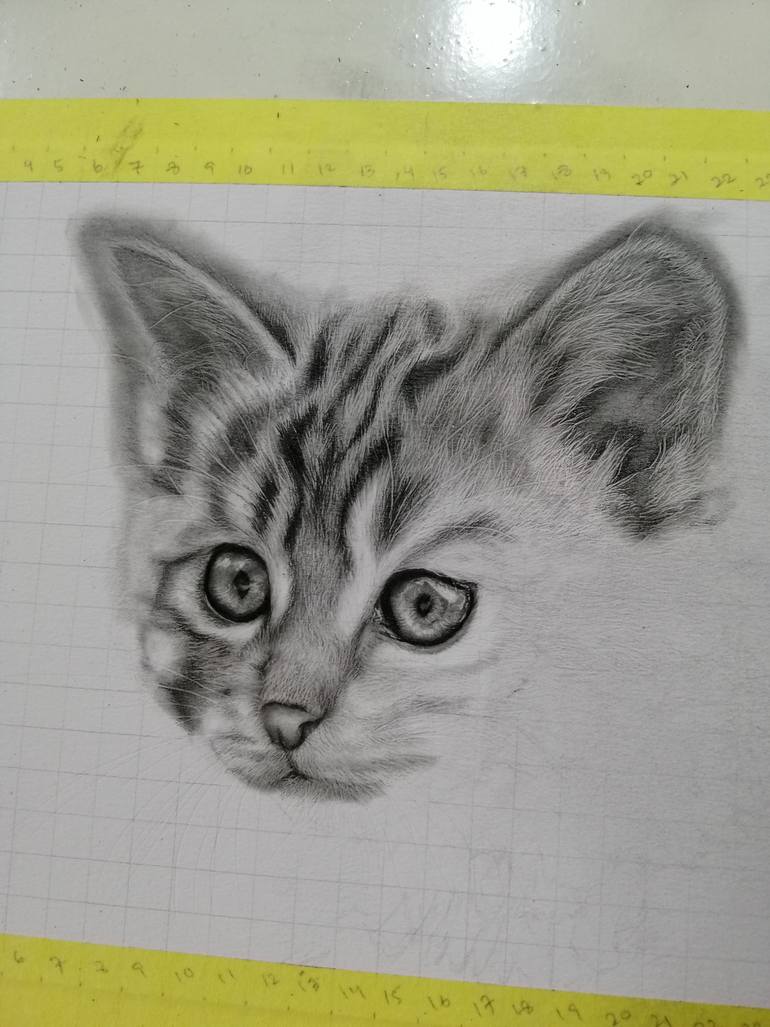 Original Figurative Cats Drawing by Prabath Zoysa