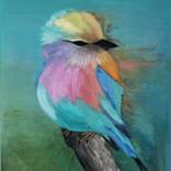 Small colorful bird by Laura R Vergi
