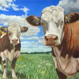 Two Cows in a Summer Meadow by Victoria Heatherbell