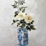 Collection Collector Favorites: Best of 2025