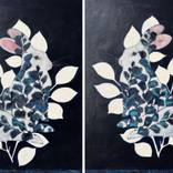 Silent Garden by Karenina Fabrizzi