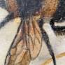 Detail 01