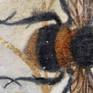 Detail 02